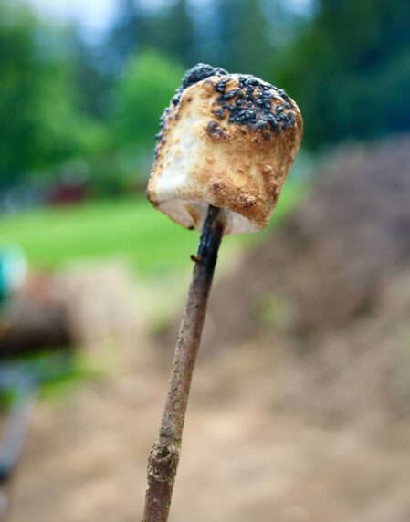 a close up of a piece of food on a stick