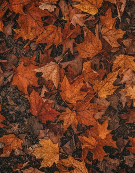 a close up of a canyon