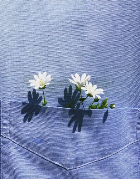 white and yellow flower on blue denim textile