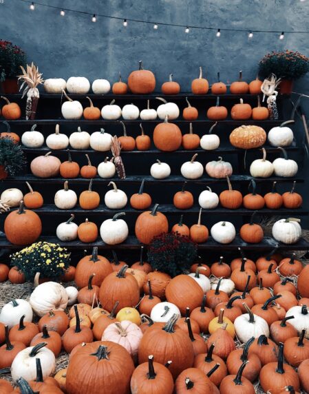 round brown and white decor lot